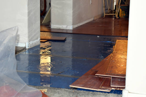 Professional Water Extraction technician working in Grove City, FL
